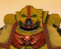 Masked Imperial Fist Space Marine